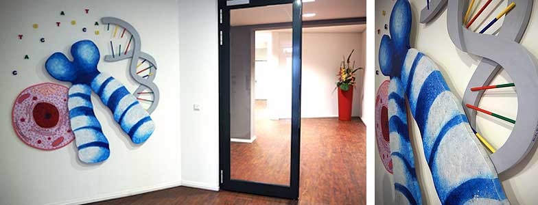 Zelle, Chromosom 14, DNS